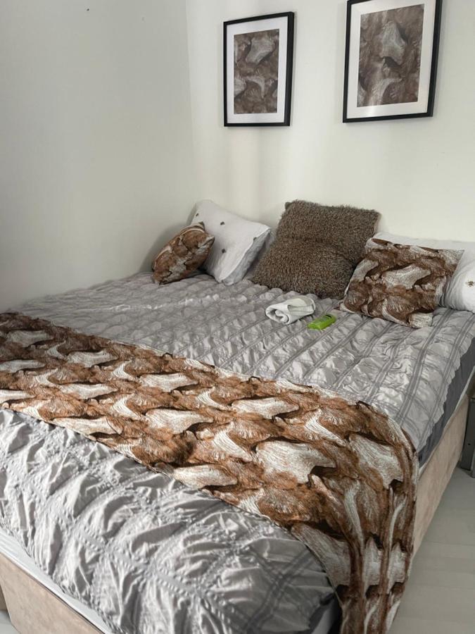 Spacious One Bedroom Ft In Central London King'S Cross Kültér fotó